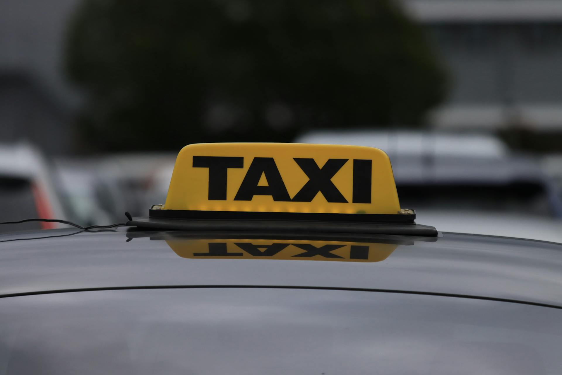 Passagers d'une voiture